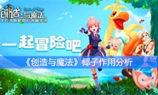 《创造与魔法》椰子作用分析