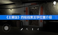 《王爱国》四级线索王字位置介绍
