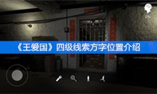 《王爱国》四级线索方字位置介绍