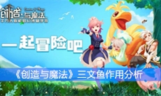 《创造与魔法》三文鱼作用分析