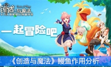 《创造与魔法》鳗鱼作用分析