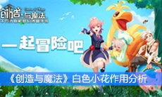 《创造与魔法》白色小花作用分析