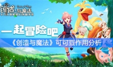 《创造与魔法》可可豆作用分析