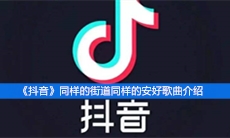 《抖音》同样的街道同样的安好歌曲介绍
