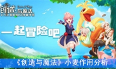 《创造与魔法》小麦作用分析