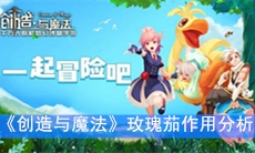 《创造与魔法》玫瑰茄作用分析