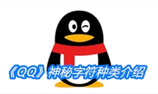 《QQ》神秘字符种类介绍