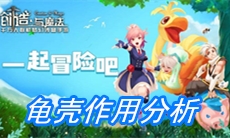 《创造与魔法》龟壳作用分析