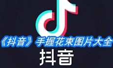 《抖音》手握花束图片大全