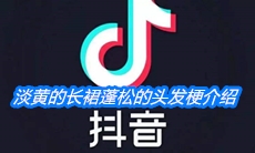 《抖音》淡黄的长裙蓬松的头发梗介绍