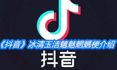 《抖音》冰清玉洁魑魅魍魉梗介绍