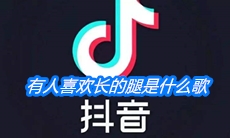 《抖音》有人喜欢细的腰有人喜欢长的腿是什么歌