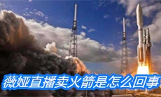 薇娅直播卖火箭，不贵只要4000万