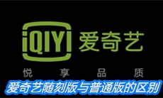 《爱奇艺随刻版》与普通版的区别