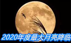2020年度最大月亮降临