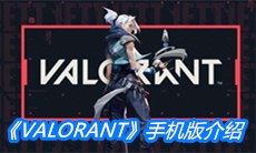 《VALORANT》手机版介绍