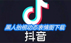 《抖音》黑人抬棺动态表情图下载