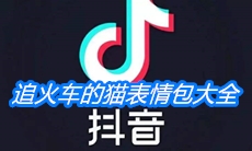 《抖音》追火车的猫表情包大全