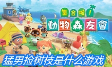 猛男捡树枝是什么游戏