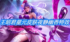 《王者荣耀》王昭君偶像歌手星元皮肤夜静幽香特效一览