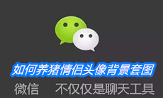 《微信》如何养猪情侣头像背景套图