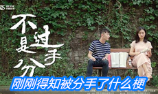 刚刚得知被分手了什么梗