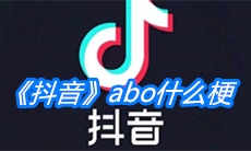 《抖音》abo什么梗