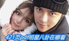 421页pdf明星八卦在哪看