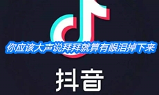 《抖音》你应该大声说拜拜就算有眼泪掉下来什么歌
