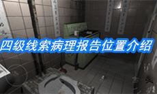 《随大同》四级线索病理报告位置介绍