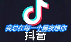 《抖音》我总在每一个黑夜想你歌曲介绍