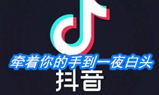 《抖音》牵着你的手到一夜白头歌曲介绍