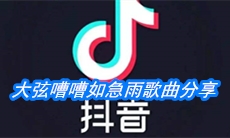 《抖音》大弦嘈嘈如急雨歌曲分享