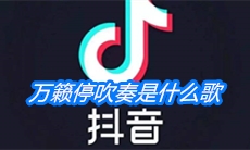《抖音》万籁停吹奏是什么歌