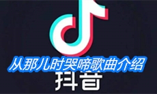 《抖音》从那儿时哭啼歌曲介绍