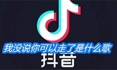 《抖音》我没说你可以走了是什么歌