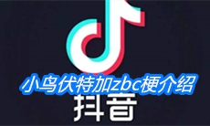 《抖音》小鸟伏特加zbc梗介绍