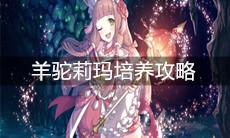 《公主连结》羊驼莉玛培养攻略