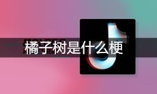 橘子树是什么梗