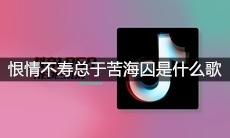 抖音恨情不寿总于苦海囚Wu新翠徒留落花影中游是什么歌