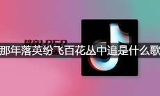 抖音那年落英纷飞百花丛中追两小无猜忌一去难回是什么歌