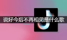 抖音说好今后不再相见能否一切如愿是什么歌