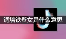 抖音铜墙铁壁女是什么意思