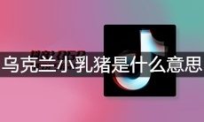 抖音乌克兰小乳猪是什么意思