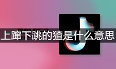 抖音上蹿下跳的猹是什么意思