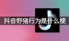 抖音野猪行为是什么梗