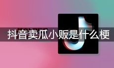 抖音卖瓜小贩是什么梗