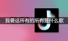 抖音我要这所有的所有但不要恨和悔是什么歌