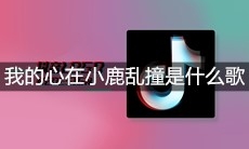 抖音我的心在小鹿乱撞从日落到清晨的月光是什么歌