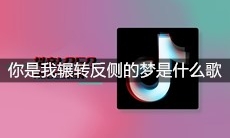 抖音你是我辗转反侧的梦我是你如梦山河的故人是什么歌